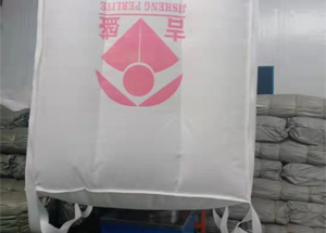 Container bag